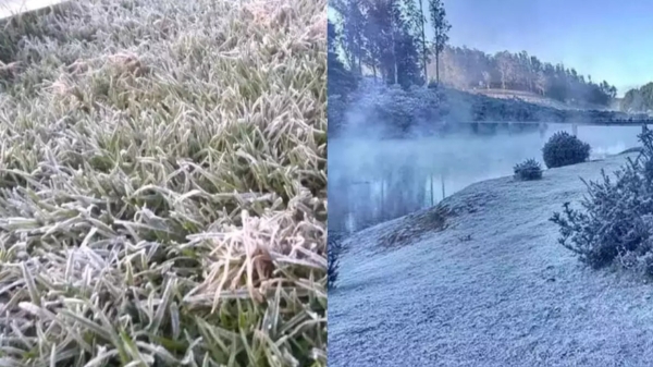 Nilgiris District Ooty and Nilgiri People suffer due to heavy fog at 2 degree Freezing celsius cold temperature 