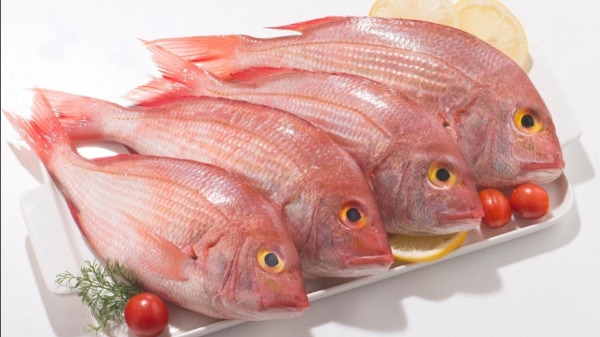 Do you know the Excellent Health Benefits in Sankara Fish and 5 Best Uses of Sankara Meen for Pregnant Women