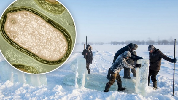  Scientists warns Zombie Virus are being unlocked from frozen Arctic and that can Spark Deadly Pandemic