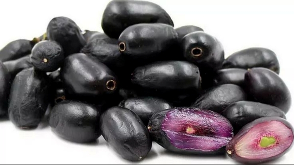 Do you know the Amazing Health Benefits of Jamun Fruits and Black plums navalpalam is the Best for Diabetics