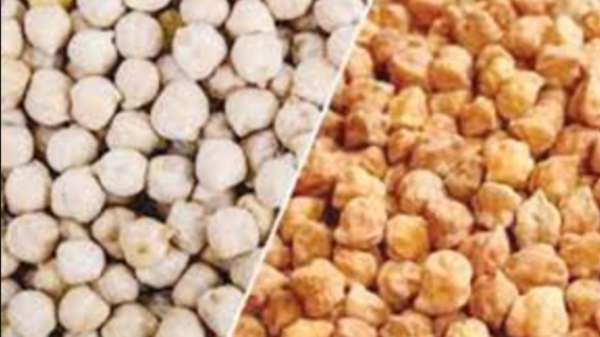 Do you know the Excellent Health Benefits of White ChickPea and Super Health Uses of Mookkadalai