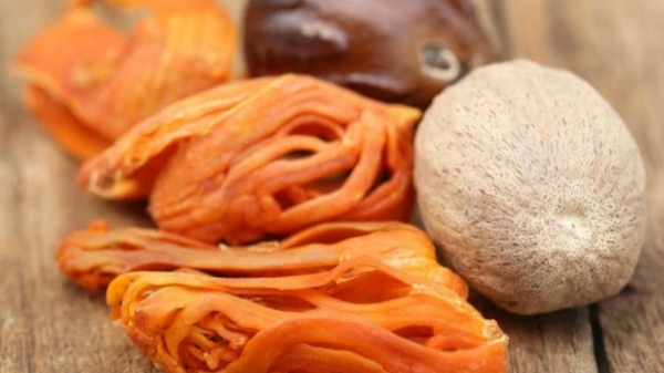 Do you know the Excellent Health Benefits in Javitri Spice and Nutmeg is the Best Herbal for Men, Women