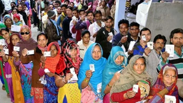 5000 people have given their opinion about one country one election 