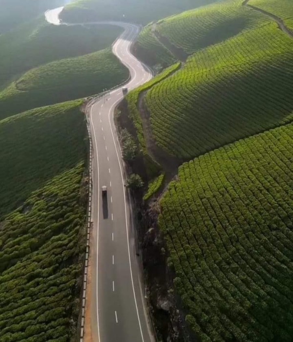 Who went to Ooty and Kodaikanal, please go to Munnar, because Munnar- Bodimettu road open 