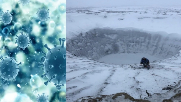 Old Zombie virus found in Siberia due to Climate change : Itmay make a come back soon 
