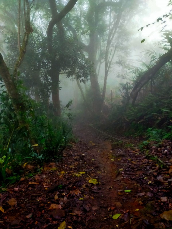 Vellakavi village on Vattakanal side of Kodaikanal: Super place to celebrate republic day holiday 