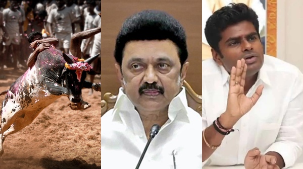Who is the reason for jallikattu happening now: Annamalai slams mk stalin Who is the reason for jallikattu happening now: Annamalai slams mk stalin