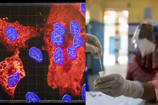 What Is Disease X How Scientists Are Preparing For The Next Pandemic