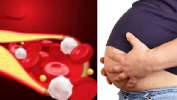 Do you know the Amazing Health Benefits of Fennel Seeds and fennel seed water is the Best tips for Weight Loss