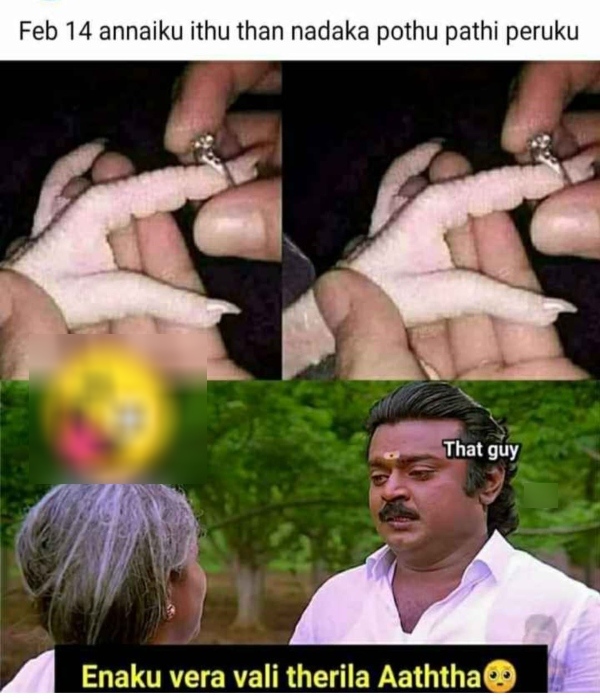 valentines day memes : Funny memes collection on singles valentines day celebrations 11.02.2024