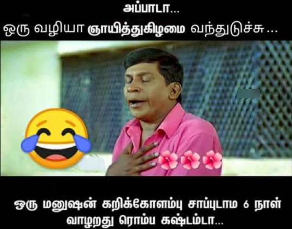 sunday memes: Funny memes collection on sunday routine 11-02-2024 sunday memes: Funny memes collection on sunday routine 11-02-2024