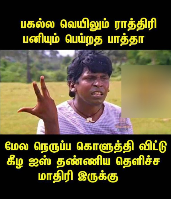 February Heat memes: Funny memes collection on summar 21-02-24