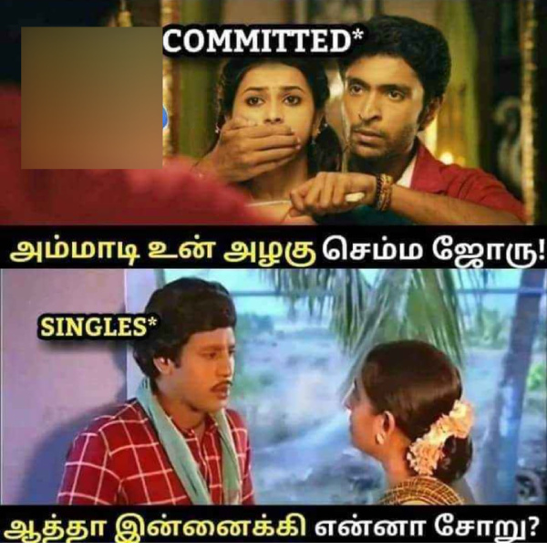 Valentines day memes: Funny memes collection on valentines day celebrations 05-02-2024