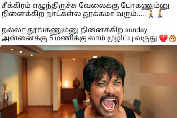 Sunday memes: Funny memes collection on sunday meals 18-02-2024