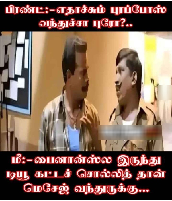 valentines day memes : Funny memes collection on singles valentines day celebrations 11.02.2024