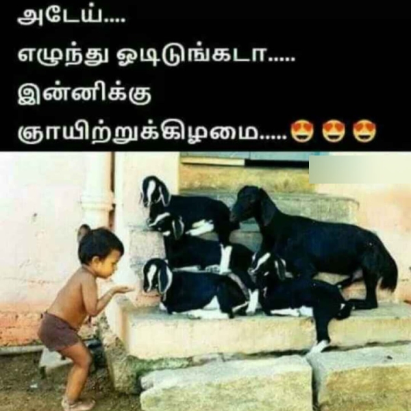 Sunday memes: Funny memes collection on sunday special food 04-02-2024