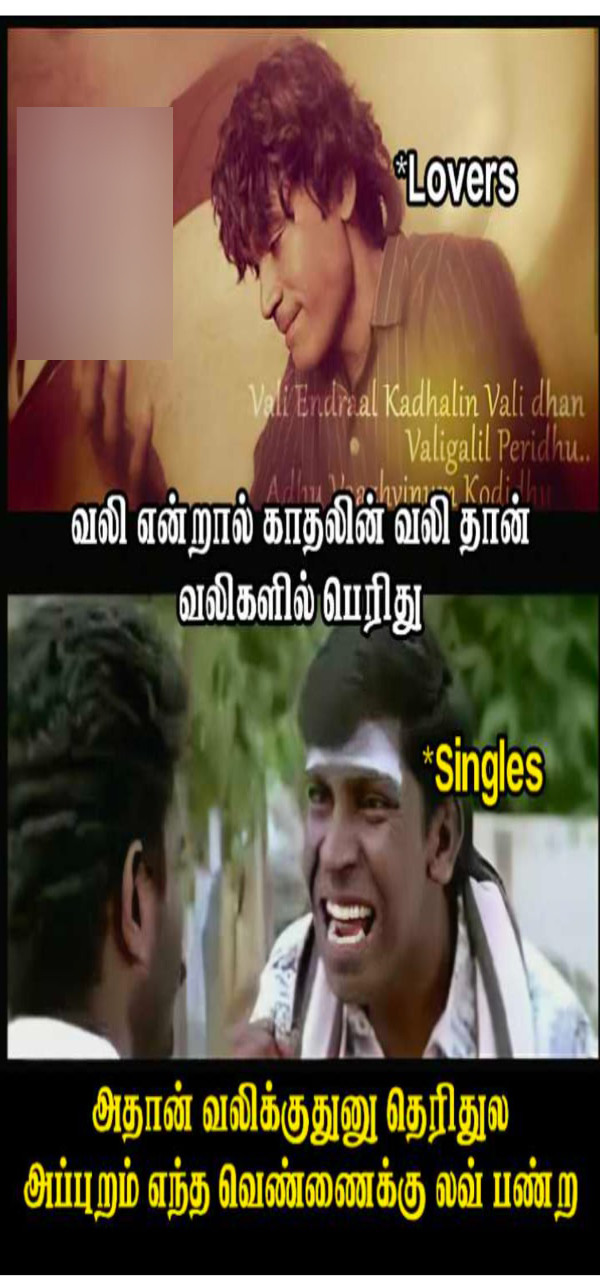 Funny memes collection on singles valentines day celebrations 13-02-2024 Funny memes collection on singles valentines day celebrations 13-02-2024
