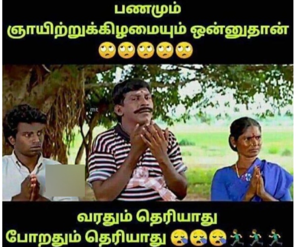 Sunday memes: Funny memes collection on sunday routine 25-02-2024