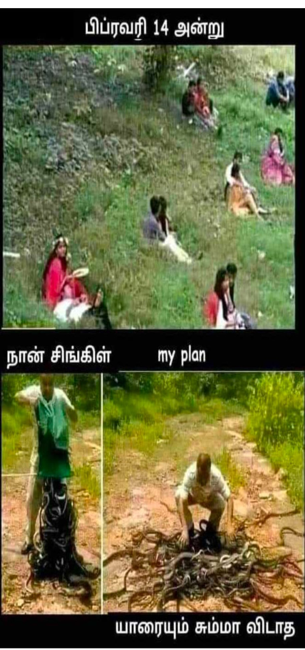 Funny memes collection on singles valentines day celebrations 13-02-2024 Funny memes collection on singles valentines day celebrations 13-02-2024