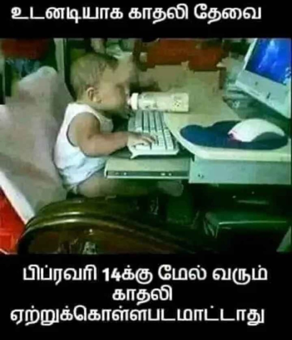 Valentines day memes: Funny memes collection on valentines day celebrations 03-02-2024