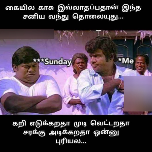 Sunday memes: Funny memes collection on sunday routine 25-02-2024