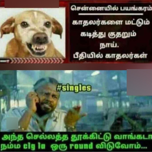 Valentines day memes: Funny memes collection on valentines day celebrations 03-02-2024