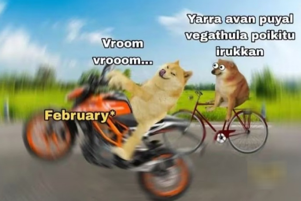 Leap year memes: Funny memes collection on February month 22-02-2024