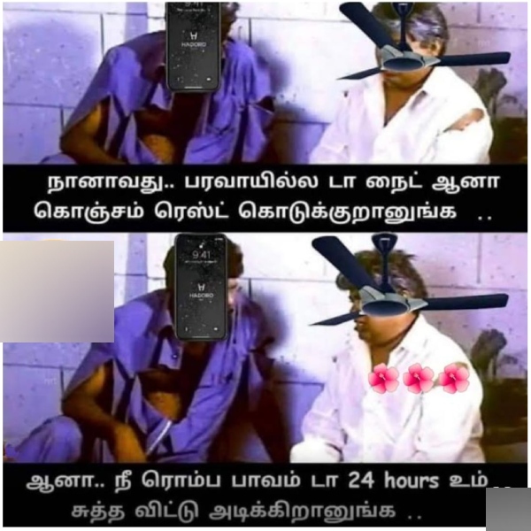 February Heat memes: Funny memes collection on summar 21-02-24