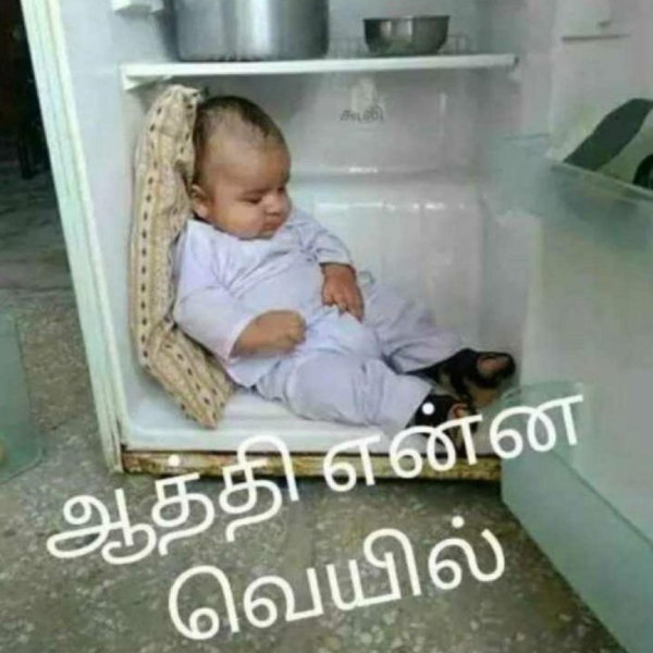 February Heat memes: Funny memes collection on summar 21-02-24