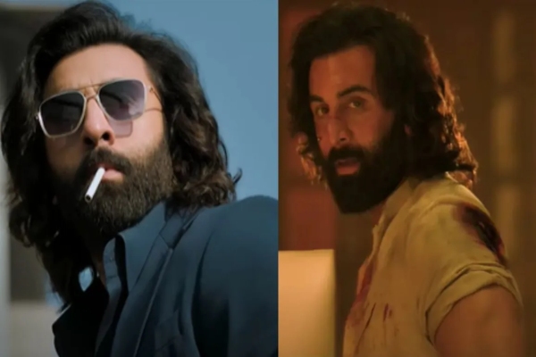 Writer Raja Sangeethan has explained Alpha Male concept in Animal movie Writer Raja Sangeethan has explained Alpha Male concept in Animal movie