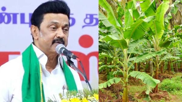 Stalin proudly said that, agriculture budget that the farmers are considered as life 