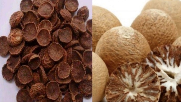 Do you know the Excellent Health Benefits of Kottai Pakku and Super Uses of Betel nuts for Diabetics