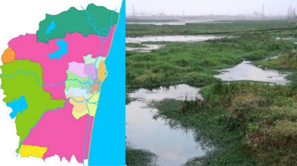 Surprise visit Guest in Chennai Pallikaranai and arrival of new species of Birds in pallikaranai marshland