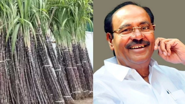 Ramadoss demand, Govt should provide Procurement price of sugarcane is Rs.5000 per ton 