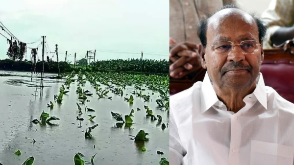 Ramadoss demand additional compensation by the government for the flood-affected farmers 