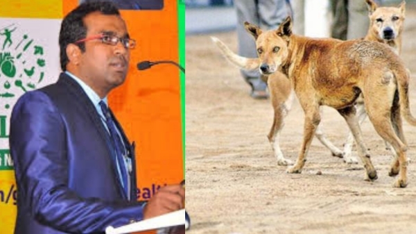 Dr Farook Abdulla says about dog bite among children 