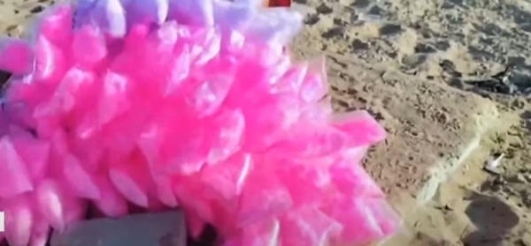 Food officer released cotton candy lab result 