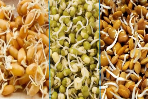 Do you know the Excellent Health Benefits of Sprouts and sprouts are the best Food for Diabetics 