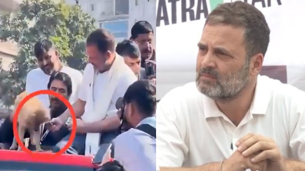 Rahul Gandhi says he gave the biscuit to owner as the Dog was nervous Rahul Gandhi says he gave the biscuit to owner as the Dog was nervous