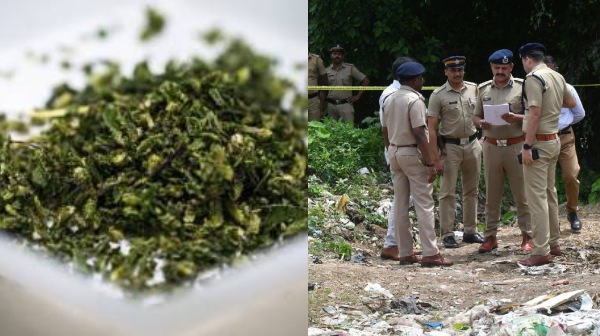 Police arrested 358 criminals involved in drug trafficking and seized 1,486 kg of ganja 
