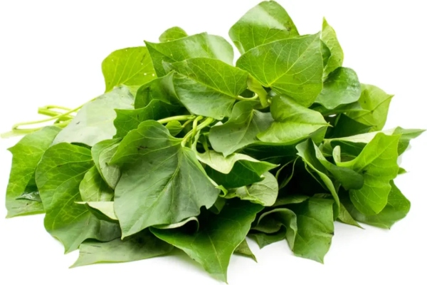 Do you know the Amazing Health Benefits of Taro Leaf and Taro Root Leaves are the Best cure for High Blood Pressure