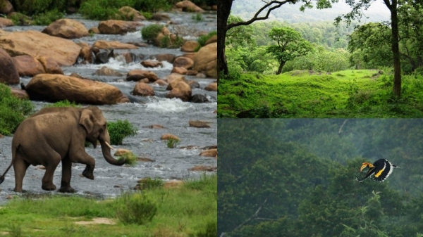 Best weekend tourist spot for Kovai people is Anaimalai 