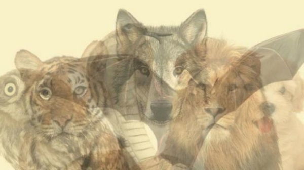  Optical Illusion: What you see in this picture Reveals your Hidden Traits