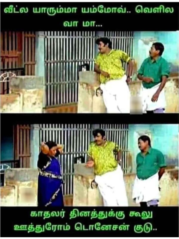 valentines day memes : Funny memes collection on singles valentines day celebrations 11.02.2024