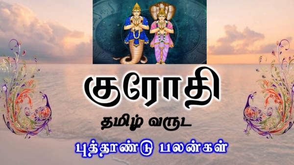 Rahu Ketu Peyarchi palan 2024 : Rahu ketu travel Meenam and Kanni prediction for 6 zodiac signs