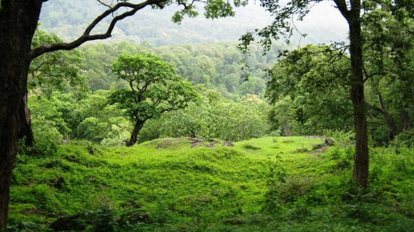 Best weekend tourist spot for Kovai people is Anaimalai 