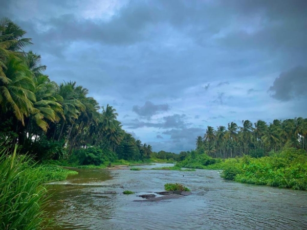 Best weekend tourist spot for Kovai people is Anaimalai 