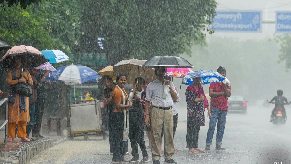 It has been raining in Rajapalayam area since early morning today 