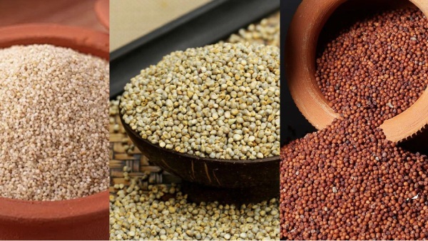 Kuthiraivali Rice is the Excellent Food for Diabetics and what are the Benefits in the Horsetail rice, Ragi, millets Kuthiraivali Rice is the Excellent Food for Diabetics and what are the Benefits in the Horsetail rice, Ragi, millets