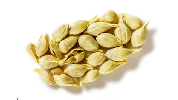  Do you know the Excellent Health Benefits orange seeds and Orange Seed Oil is the Best for Hair Growth 